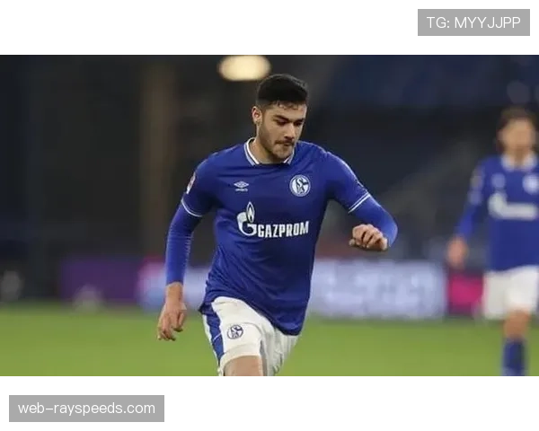 传闻：霍芬海姆主力前锋或将赛季末自由转会至意甲